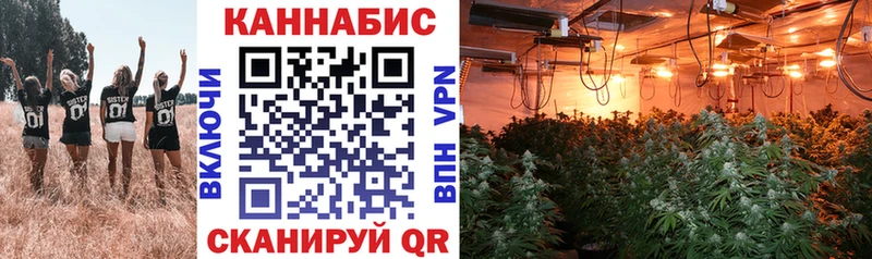 ГАШИШ Сусуман