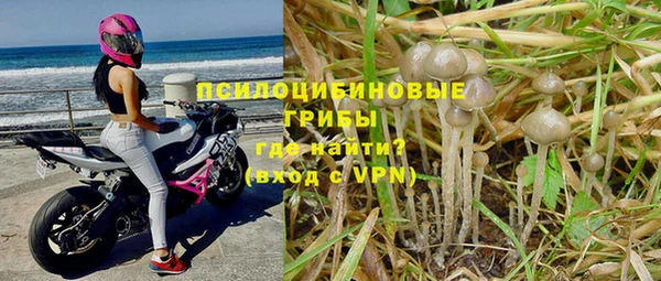 винт Наволоки