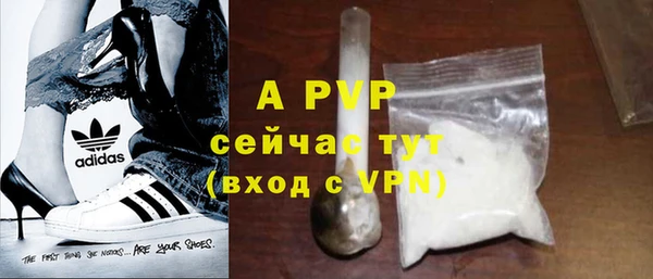 PSILOCYBIN Надым