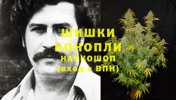 PSILOCYBIN Надым