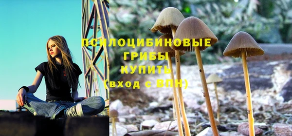 кокаин Анива