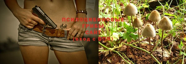 PSILOCYBIN Надым
