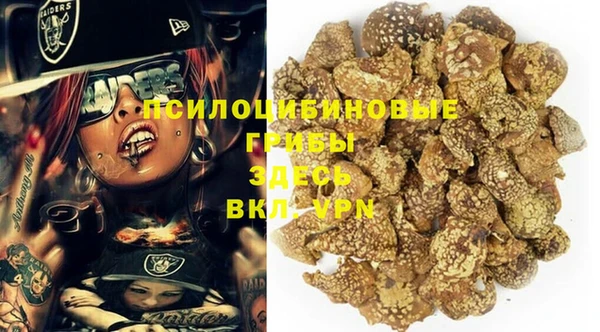 PSILOCYBIN Надым
